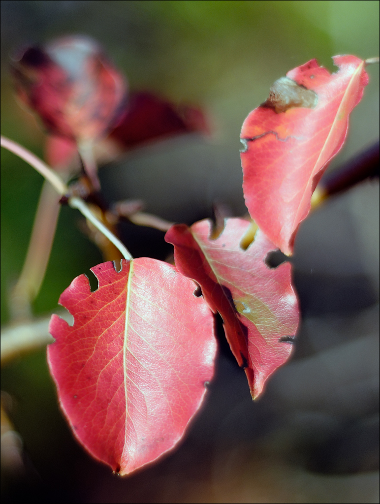 Crimea 201220170305411