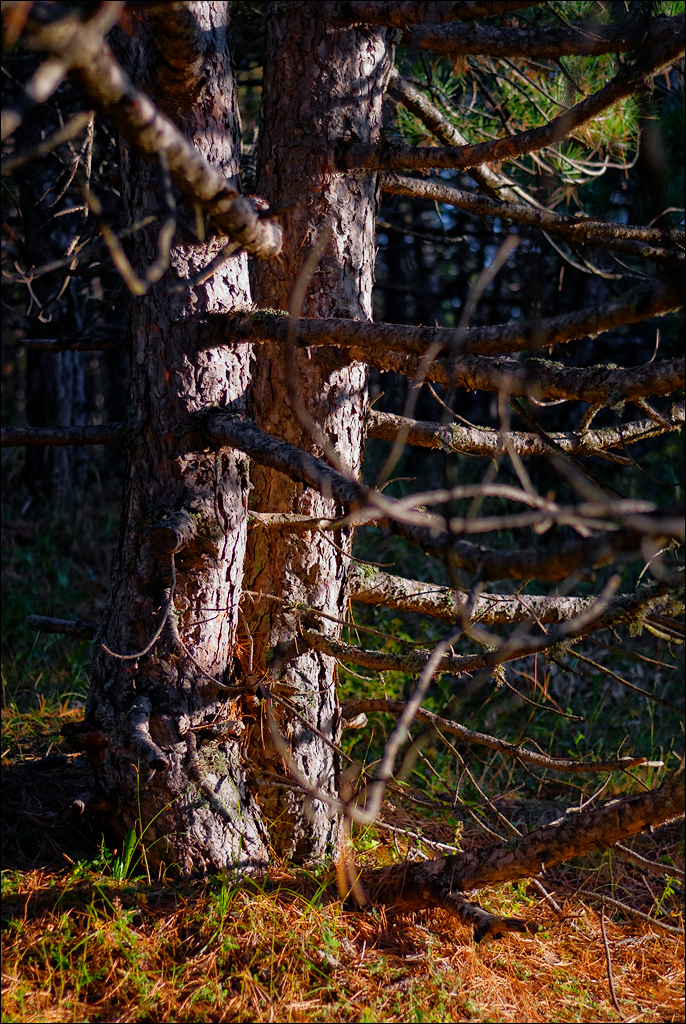 Crimea 201220170305412