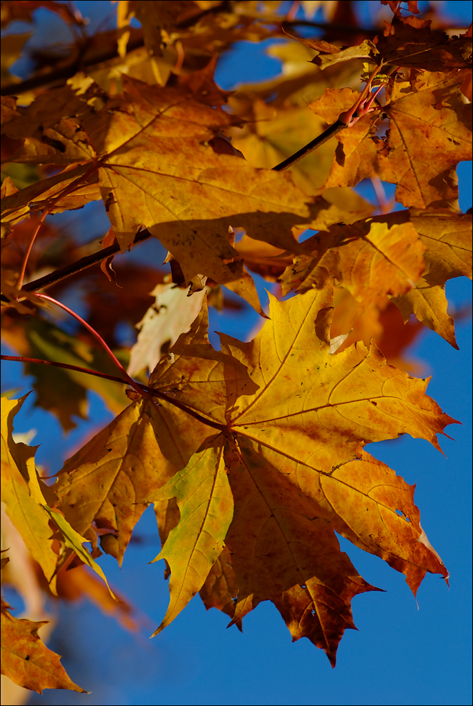 Crimea 201220170305427