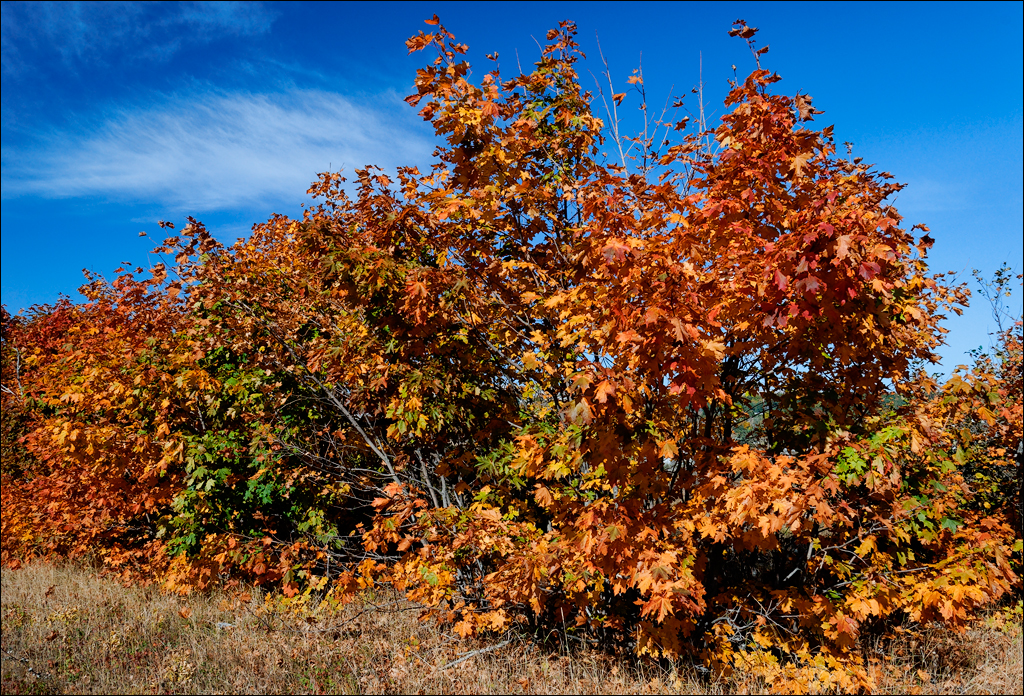 Crimea 201220170305440
