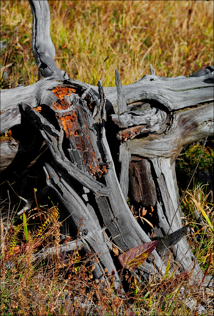 Crimea 201220170305443