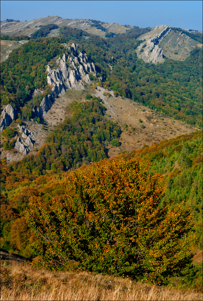 Crimea 201220170305460