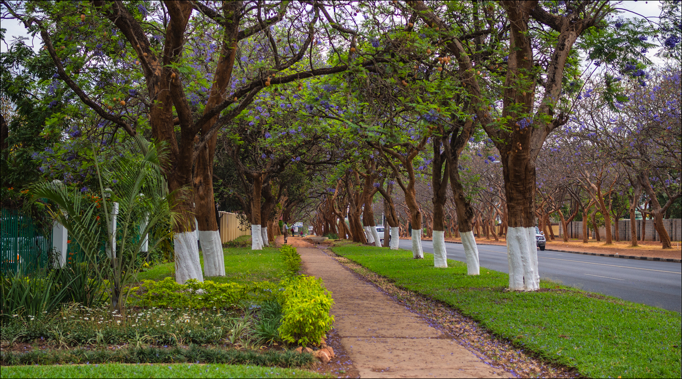 Zambia sep2014 P1 138