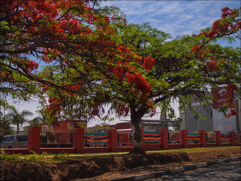 Zambia sep2014 P2 015