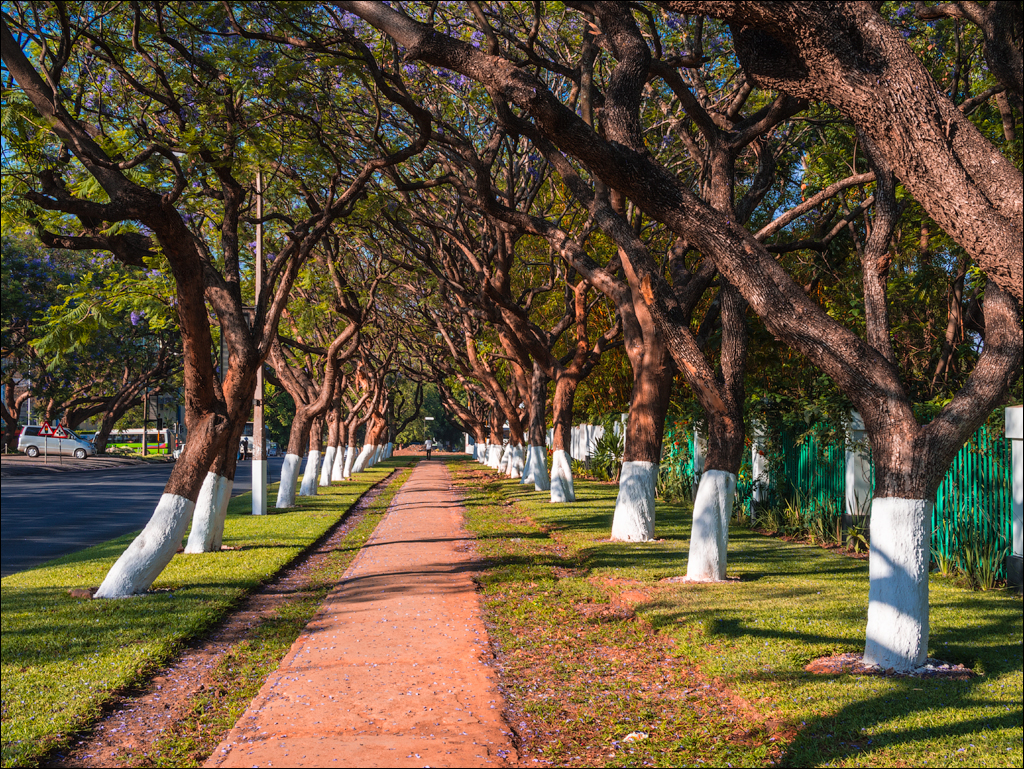 Zambia sep2014 P2 131