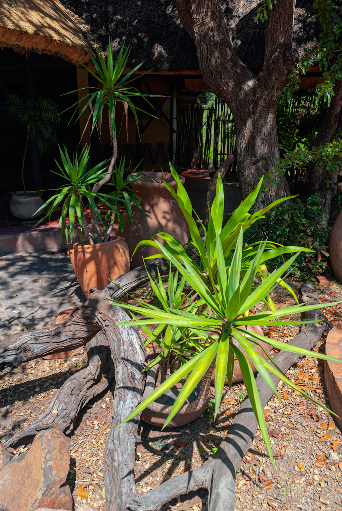 Zambia 20080419 20 105