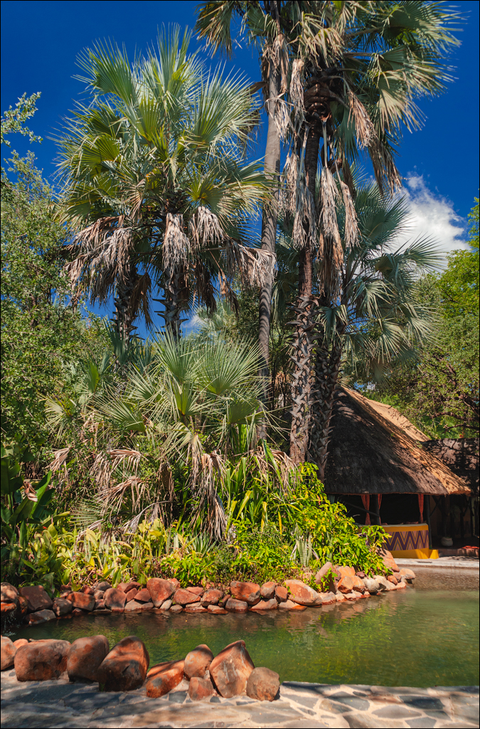 Zambia 20080419 20 107