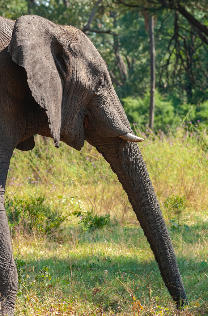 Zambia 20080419 20 132