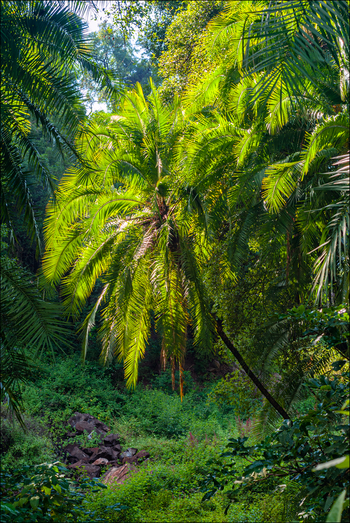 Zambia 20080419 20 178