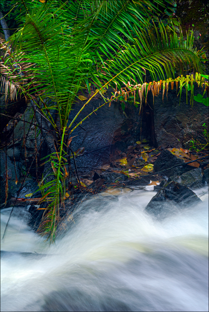 Zambia 20080419 20 184