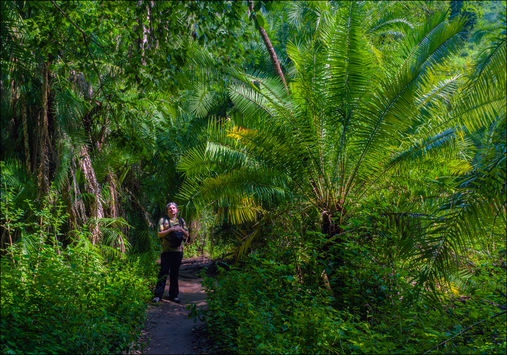 Zambia 20080419 20 201