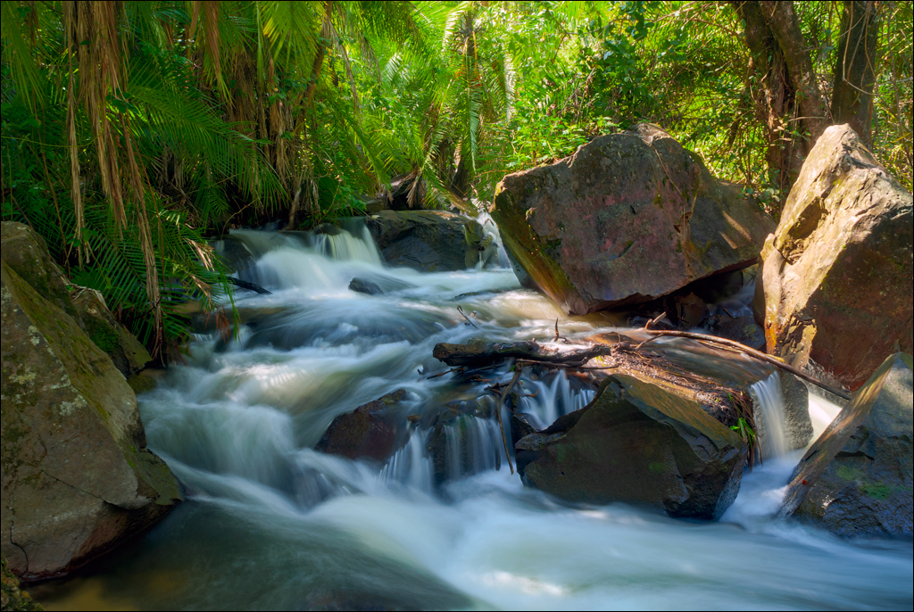 Zambia 20080419 20 203