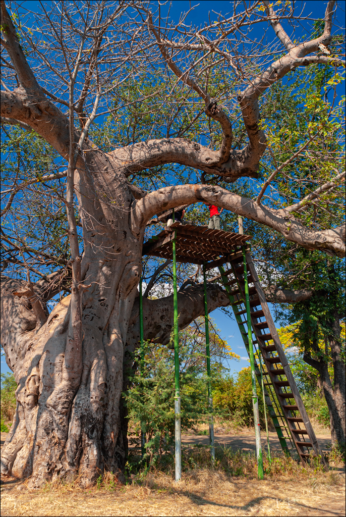 Zambia 20080419 20 217
