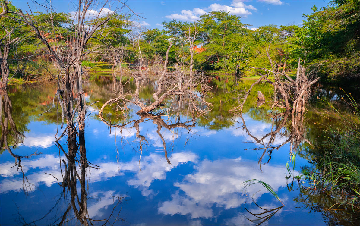 Zambia 20080419 20 226