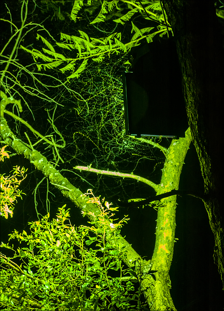 Zambia Mosi feb2007 187